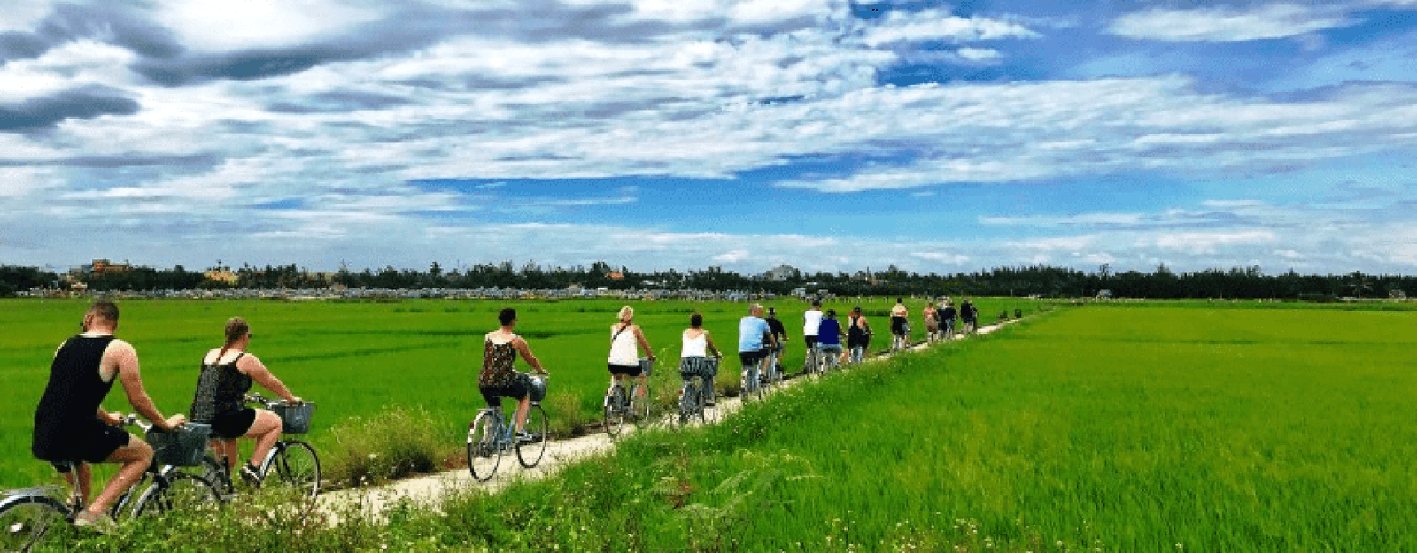 Hoi An Countryside